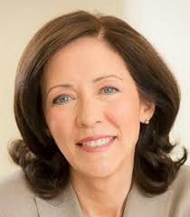 The Savory Tort: Boston Bar panel surveys landscape of privacy law, data  protection policy, class action litigation