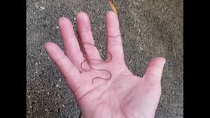 In the comics they eventually get to the point where they're starting to find zombies that have decomposed to the point where they can't move anymore. Creepy Parasite Worm Turns Its Host Into Zombie Experts Say The Kansas City Star