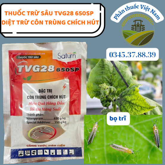 TVG28 650SP