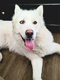 Went a lil color crazy! 🐻🎨