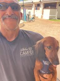 EDIT: he is found and home safely! Aloha, my longhair dachshund got spooked  at Magic Island fire works