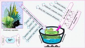 Image result for Albertisia delagoensis