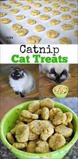 49 Diy Homemade Pet Recipes For Your Dogs And Cats Farmfoodfamily Dog Food Recipes Homemade Cat Food Cat Treat Recipes