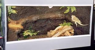 Bulid A Cage With A Rockwall Bearded Dragon Bearded Dragon Care Bearded Dragon Diy
