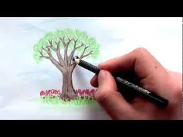 Teaching yourself how to draw a tree is so easy. How To Draw A Tree With Colored Pencils Lesson 2 Colored Pencil Lessons Easy Drawings Sketches Leaf Drawing