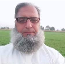 Powlonia sold out propagated from root cuttings