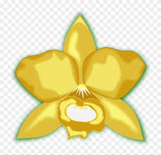 Id.lovepik.com menyediakan 820000+ desain grafis gambar png, vektor dan clipart untuk penggunaan pribadi dan komersial. Orchids Christmas Orchid Petal Flowering Plant Kartun Bunga Anggrek Kuning Clipart 3622800 Pikpng