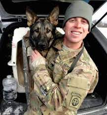 Check spelling or type a new query. The Czech Shepherd