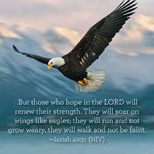 But they who wait for the lord shall renew their strength; Pin On Word Of Life