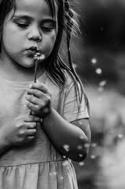 Who can photograph a family session in Tulsa?