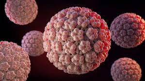 Image result for human papillomavirus symptoms