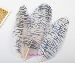 We did not find results for: 50pcs Lot 10 15cm Animal Print Design Goose Feathers Zebra Pattern Perfect For Earrings Bridal Table Decor Millinery Feather Aliexpress