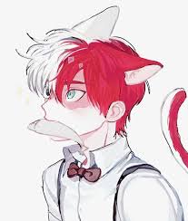 Open Rp Be The Neko S Owner Master I Got Ya A Fish I Giggle And Place My Fish In Your Hand Eat It Anime My Hero Academia My Hero Academia Shouto