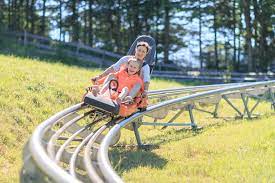 Due to long lines for the tours, park owners steve and jeanne beckley thought it would be a good idea to give guests something fun to do while they waited. Alpine Coaster In Windischgarsten Wurbauerkogel At