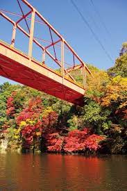 亀山湖おりきさわボート 紅葉 絶景 絶景 紅葉