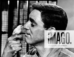 Burt Lancaster & Bird Characters: Robert Franklin Stroud & Film: The  Birdman Of Alcatraz (USA