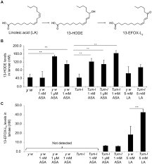 Supermassive black hole sagittarius a* (sgr a*) is located in the middle of the milky way galaxy. A Drosophila Metainflammation Blood Tumor Model Links Aspirin Triggered Eicosanoid Like Mediators To Immune Signaling Biorxiv