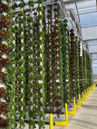 Even though more than 40 percent of american land is farmland, more people than ever before are moving into cities. Vertical Farming Hydronics Greenhouses Eden Green Technology