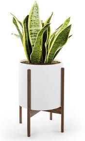 Choose pots with drainage holes. Plant Container Accessories Mid Century Plant Stand With Pot With Drainage Modern 10 Inch Planter Large Plant Pot For Plants Matte White Ceramic Indoor Planter With Stand Made Of Walnut Sturdy Plant