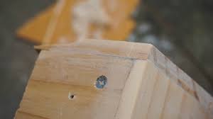 One really simple method to fill gaps in an unfinished floor is to use fine sawdust. Make Joints In Woodworks Dissapear Diy Wood Filler 7 Steps With Pictures Instructables