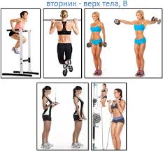 программа тренировок в тренажерном зале для похудения для девушек Programma Trenirovok Dlya Devushek Verh Tela V Trenirovki Telo Programma Trenirovok