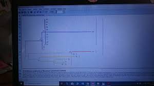 Vor avea program diferit urmatoarele magazine mega image: I Used Mega X For Drawing A Phylogenetic Tree I Want To Know The Different Between The Original Tree Bootstrap Consensus Tree