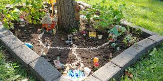 Fairy Garden Neighbors In Front Yard Fairy Garden Plants Front Yard Landscaping Diy Indoor Fairy Gardens