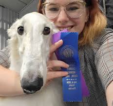 Saxafrax Borzoi