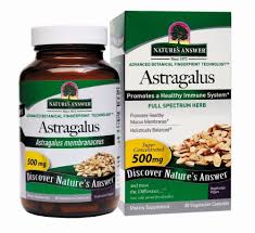 Image result for Astragalus