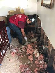 Lowe's Heroes mobilize in Texas community