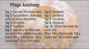 5 varianten für jeden geschmack. Das Kult Rezept Der 90er Herrmann Kuchen Fur Jedermann Mdr Jump