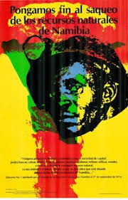 Image result for Felicia clavipilosa