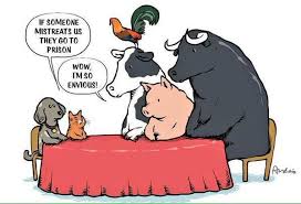 Pin On Things Everyone Should Be Aware Of