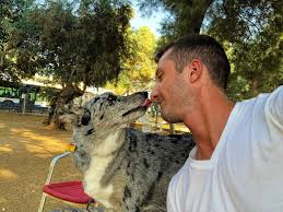 🎉 Great news for you and your furry friend! 🎉 TheDogs has just reached  the milestone of 100 satisfied customers in Tel Aviv! 🐾 We are so grateful  for the trust you've