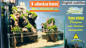 Nano Paludarium 35cm Dengan Air Terjun Mengalir Bertema Bukit Youtube Air Terjun Aquarium
