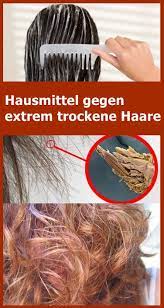 hausmittel gegen extrem trockene haare drndex com extremely dry hair natural hair mask hair treatment