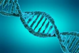 Reproductive Genetics & Genomic Medicine