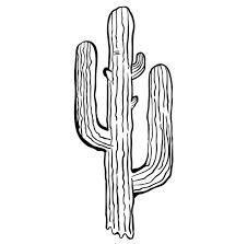 Black And White Cactus Drawing Simple Black And White Cactus Vector Image On Vectorstock Cactus Vector Cactus Drawing Cactus Cartoon