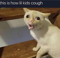 Pin By Ashley B On So Ture Funny Cat Memes Funny Animals Funny Animal Memes