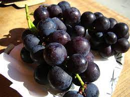 pin by chen wan ying on 南投小旅行 fruit food grapes