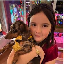 BC SPCA Lock-In for Love