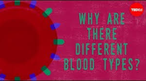 How to read a blood type test. Blood Type Testing
