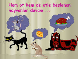 Canlilarin Nasil Cogalirlar