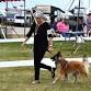 2026 WKC Summer Splash Daily Admission