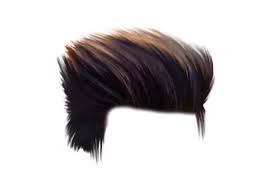 Cb Hair Png Hd Download New Hair Png Zip File Download Download in under 30 seconds.