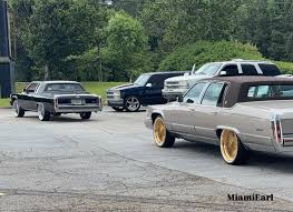 Image result for Garganey Teal 1973 GM