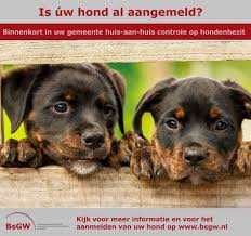 Met deze opbrengst zorgen we voor onder andere de aanleg en het onderhoud van losloopgebieden en hondenpoepbakken. Rpqdlmg1dkfiim