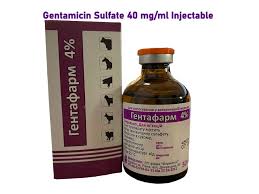 Image result for Gentamicin