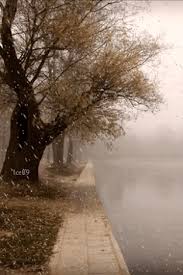 Dec 10, 2019 dec 10, 2019 12/10/2019. Mercy Rainy Days Autumn Rain Scenery