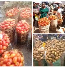 Breaking: Farming in the Southeast is really yielding fruitfully and  crashing prices. Bag of Potatoes sold ₦6,000 Basket of Tomatoes sold  ₦27,000 This to show the North that East can never bow